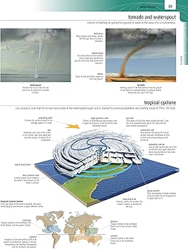 語学・辞書・学習参考書 Merriam-Webster's Visual Dictionary Merriam-Webster's Visual Dictionary 語学・辞書・学習参考書